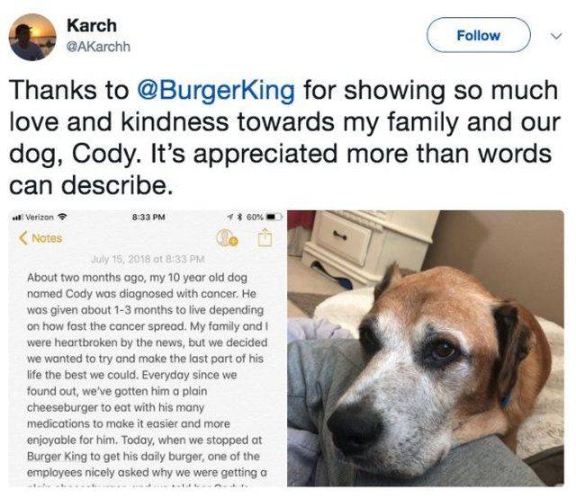 Sick Dog Gets A Lifetime Worth Of Gifts From “Burger King”