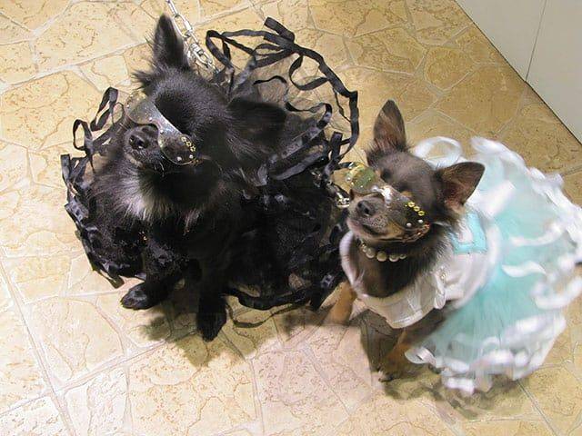 Daily Picdump