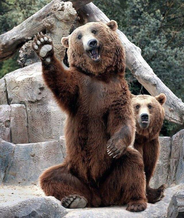 Daily Picdump