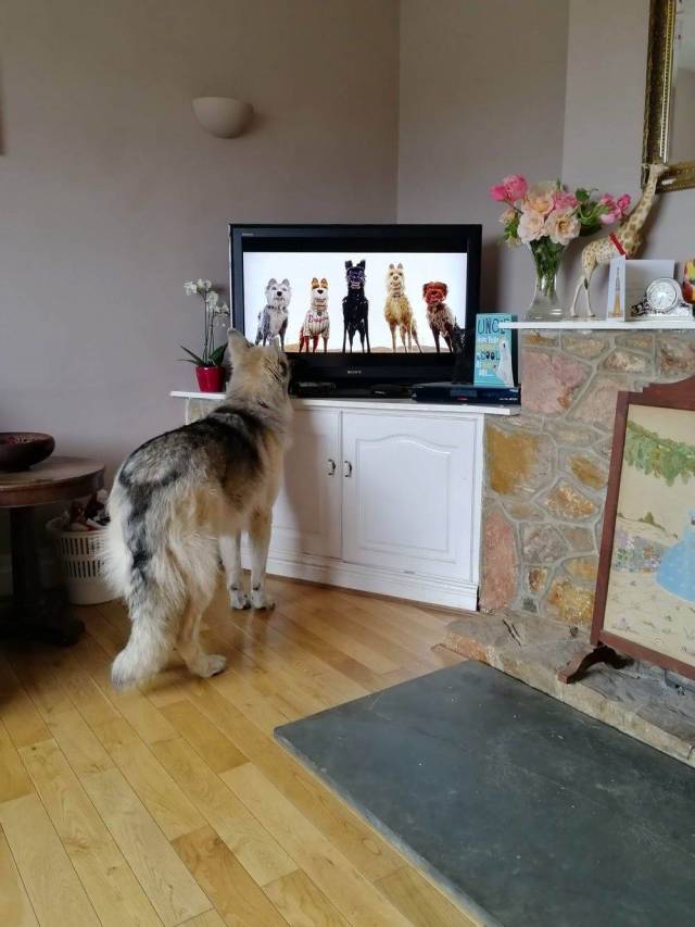 Daily Picdump
