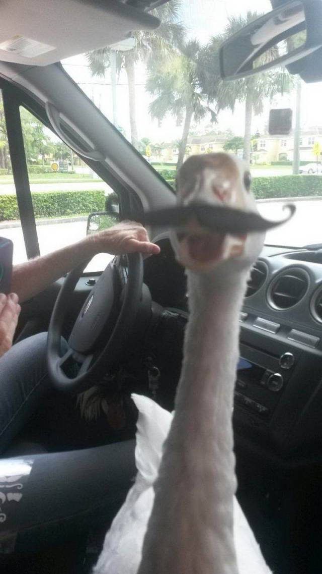 Daily Picdump