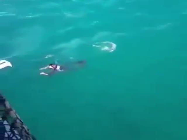 Shark Was Too Close For His Liking