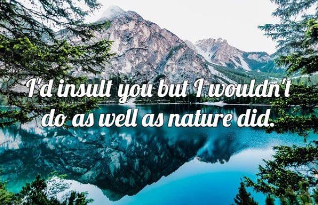 Majestic Views Make Up For These Awful Insults