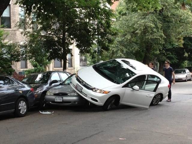 Daily Picdump