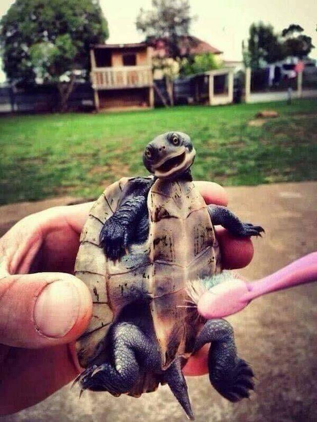 Daily Picdump