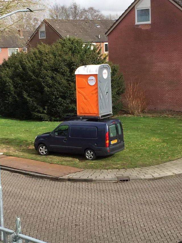 Daily Picdump