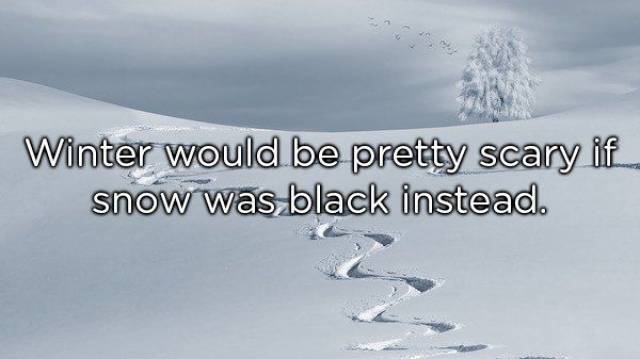 Shower Thoughts That Are Unsettlingly Close To Reality