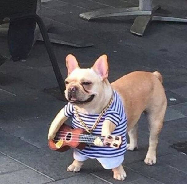 Daily Picdump