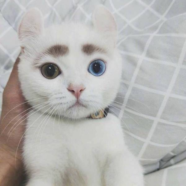 Daily Picdump