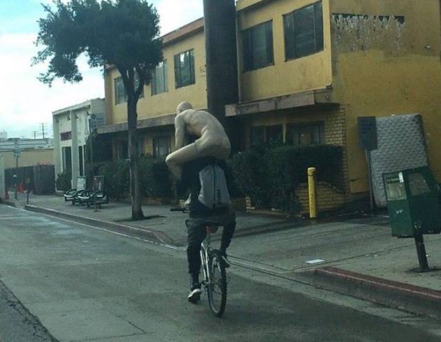 Daily Picdump