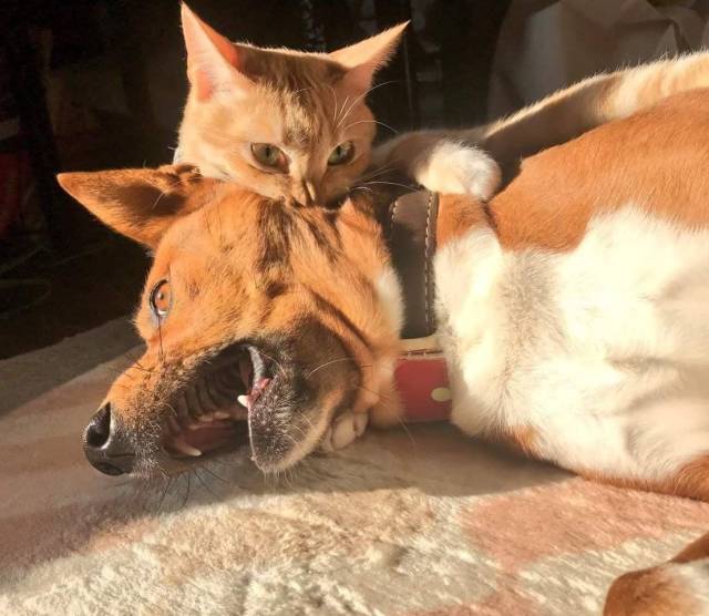 Daily Picdump