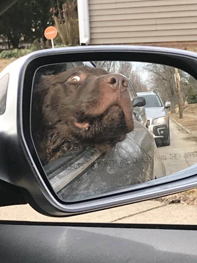 Daily Picdump