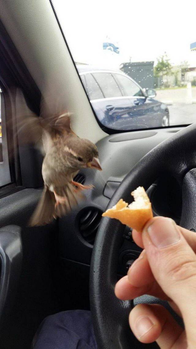 Daily Picdump