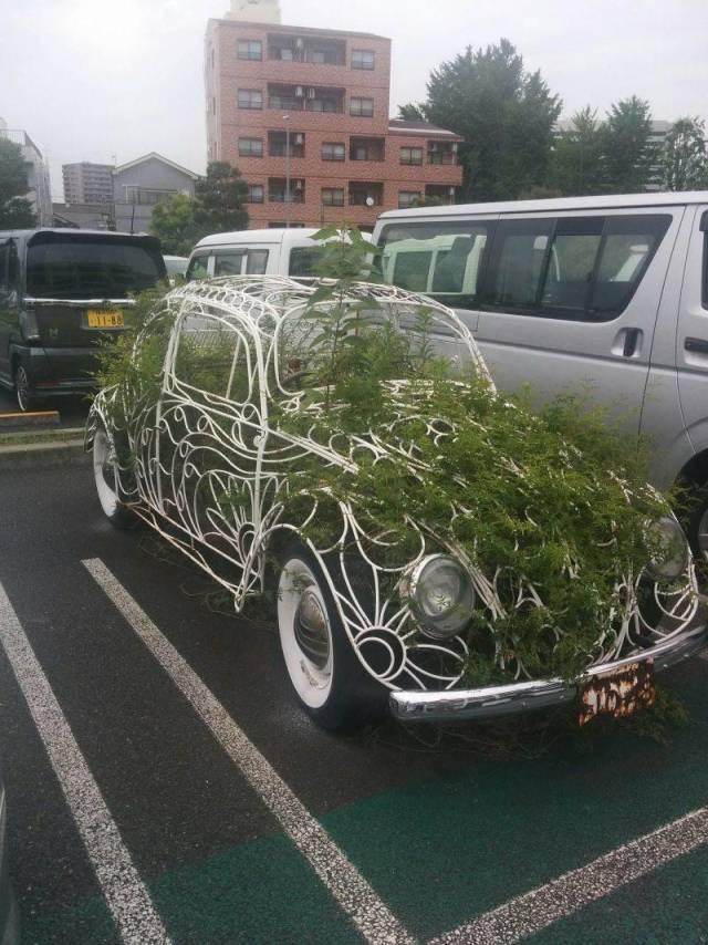 Daily Picdump