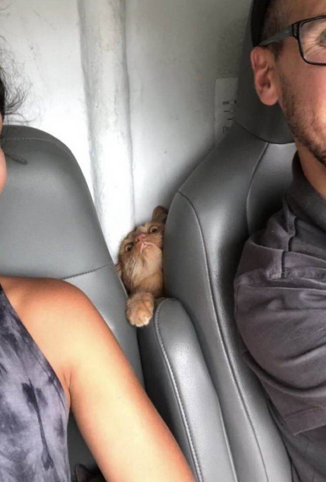 Daily Picdump