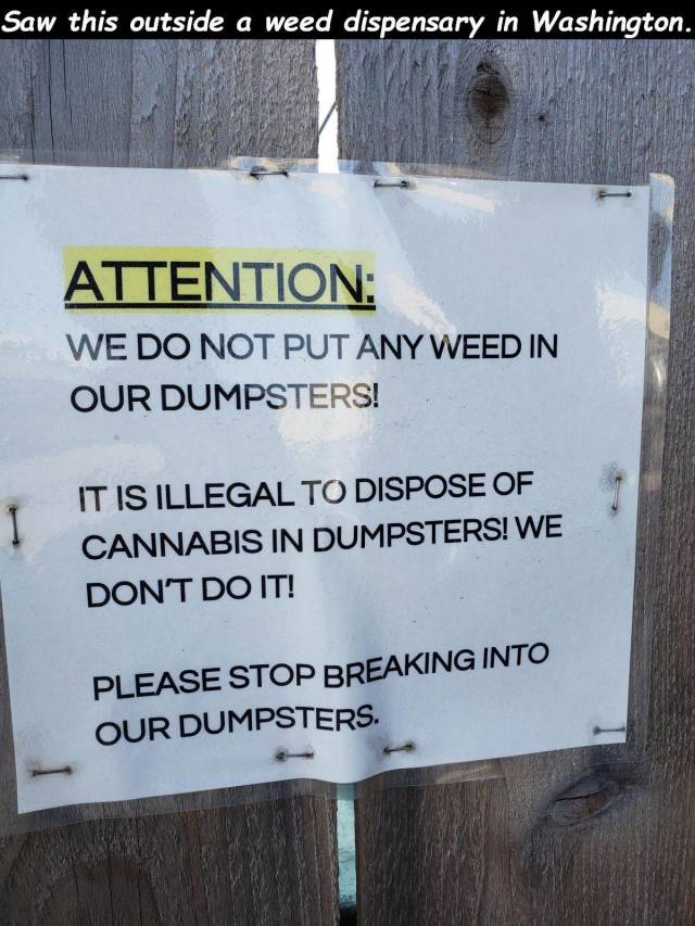 Daily Picdump