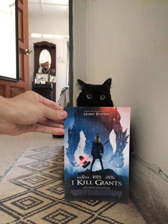 Daily Picdump