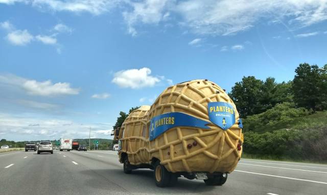 Daily Picdump