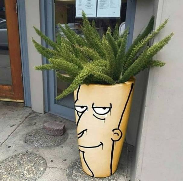 Daily Picdump