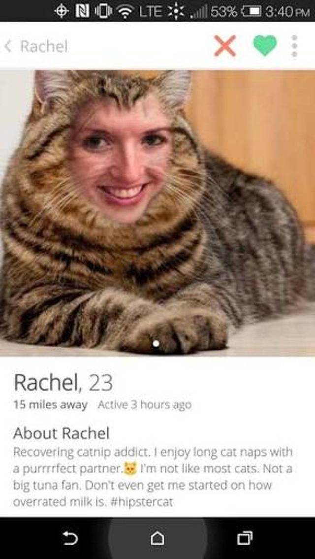 Dating Profiles That Certainly Make Those People Look Special