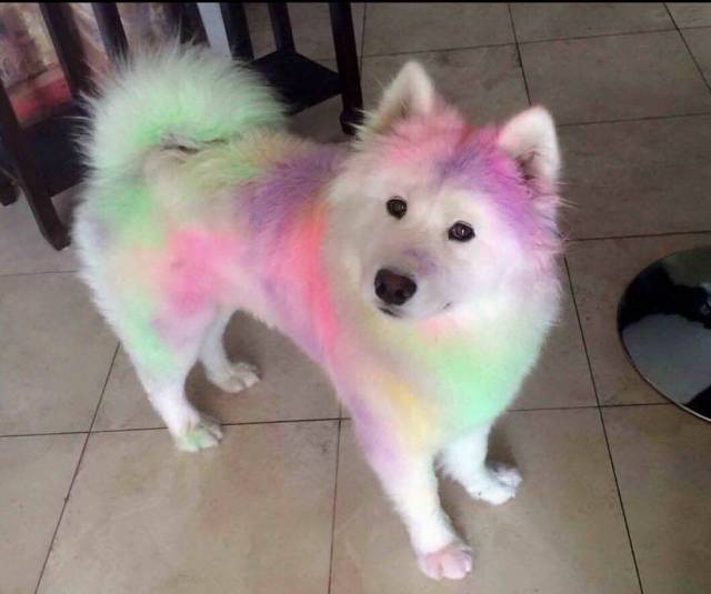 Daily Picdump