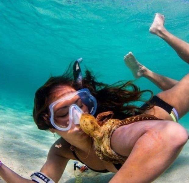 Daily Picdump