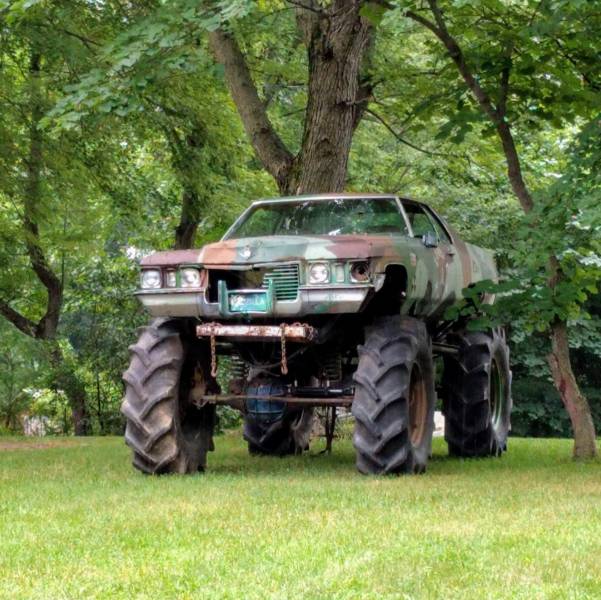 Daily Picdump