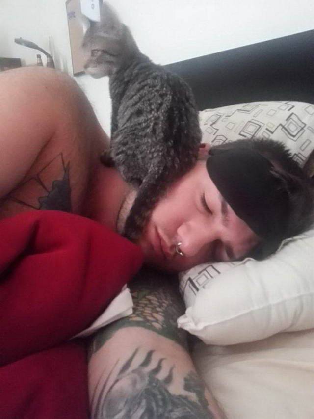 Daily Picdump