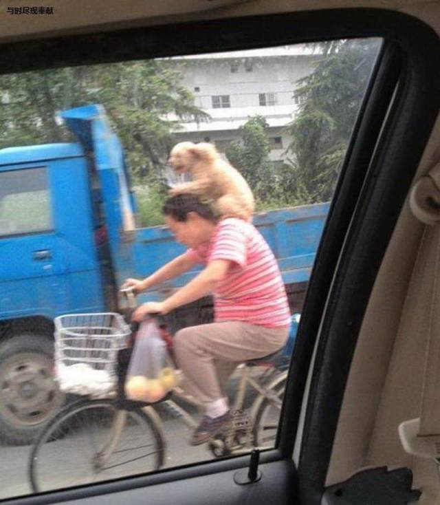 Daily Picdump