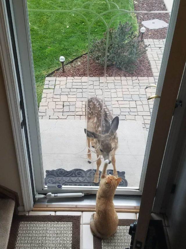 Daily Picdump
