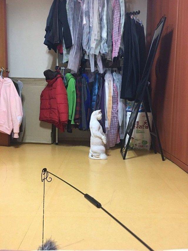 Daily Picdump