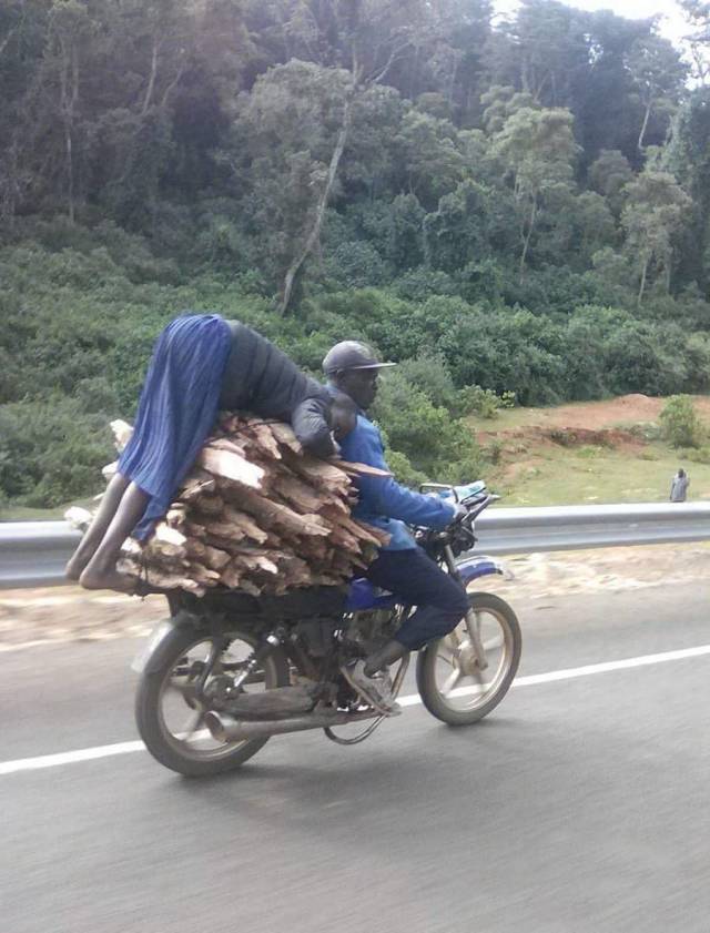Daily Picdump