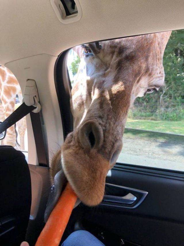 Daily Picdump