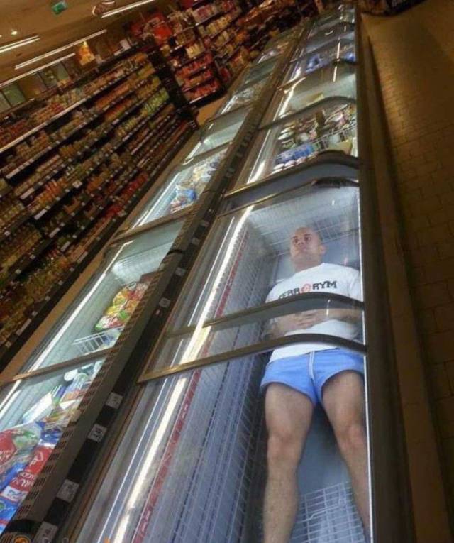 Daily Picdump