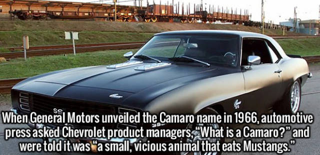 Funny Picdump