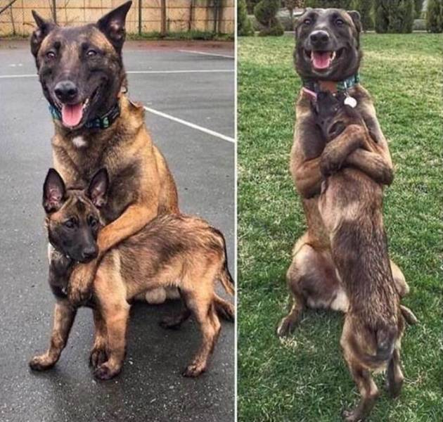Daily Picdump