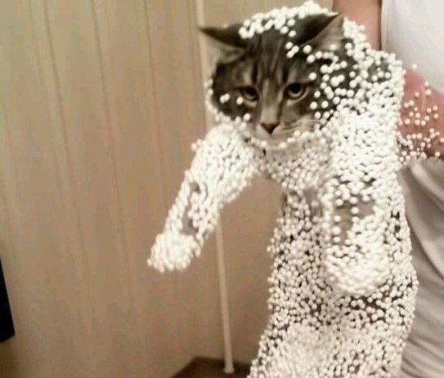 Daily Picdump