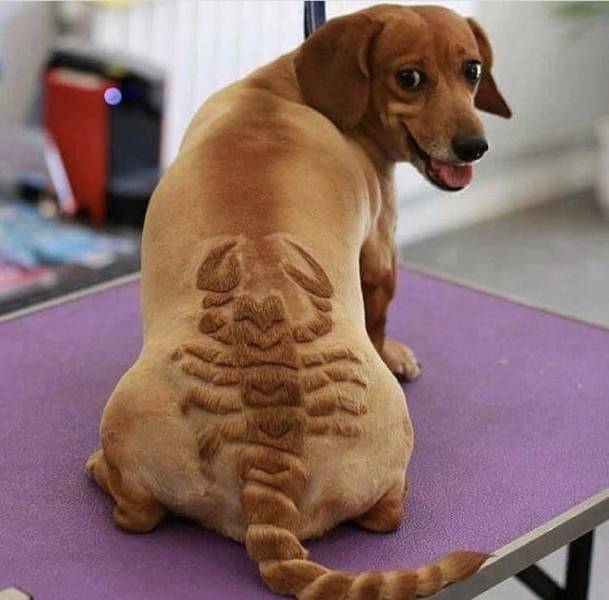 Daily Picdump