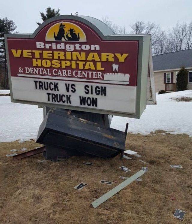 Daily Picdump