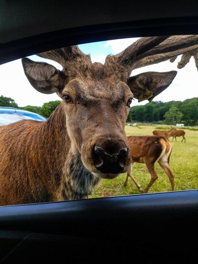 Daily Picdump
