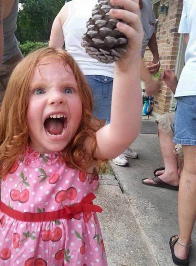 Daily Picdump