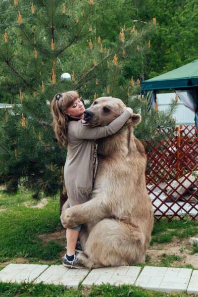 In Russia, Bears Are Pets