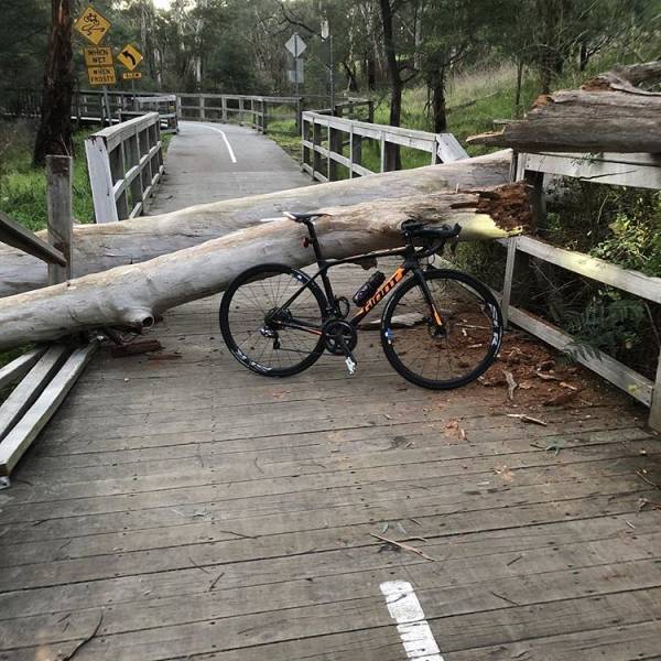 These People Might Be Alive Only Because Of Their Luck