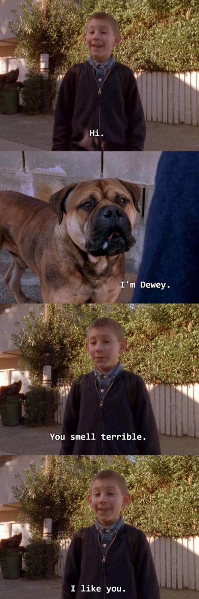“Malcolm In The Middle” Had Too Much Truth In It