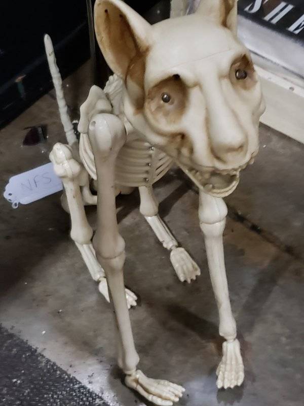 https://img.izismile.com/img/img11/20180811/640/thrift_shops_shouldnt_be_allowed_to_sell_this_640_high_02.jpg