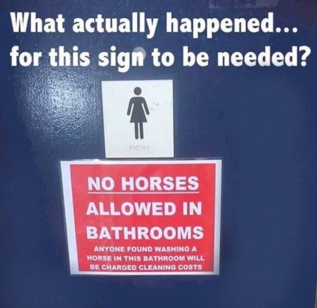 Who Needs To Understand Those Signs Anyway…
