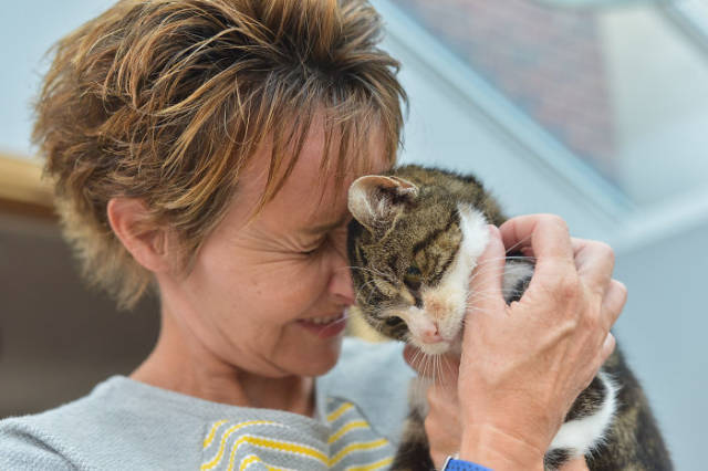 After Long 13 Years, Her Cat Finally Returns Home