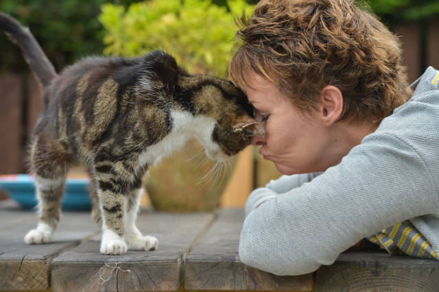 After Long 13 Years, Her Cat Finally Returns Home