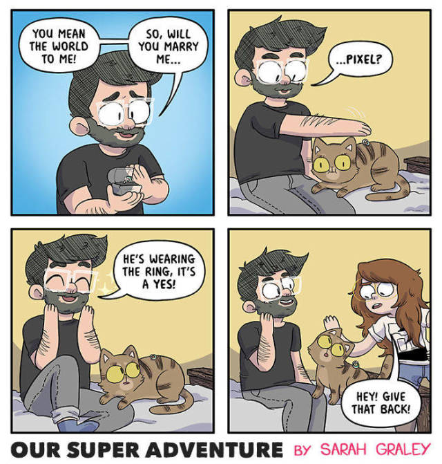 Life With Your Fiancé And Four Cats Simply Has To Be Entertaining