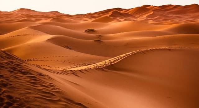 Sandy Facts About Deserts